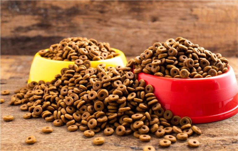 Ingredients You Should Avoid in Pet Food