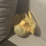 Arrestohen dy shtetas turq në Gostivar, prona e tyre kontrollohet për dr’ogë
