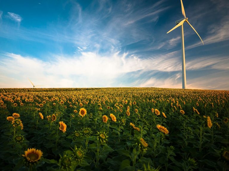 The Importance of Biodiversity