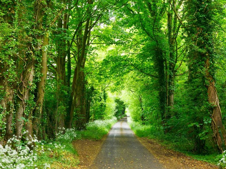Protecting Our Planet for Future Generations