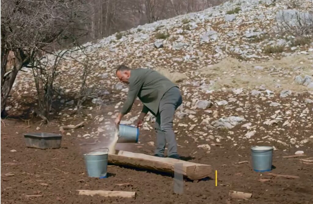 Nga 30 në mbi 200 drerë: Suksesi i qendrës riprodhuese në Parkun Kombëtar Galiçica