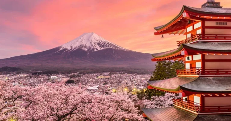 Japoni: Anulohet festivali i lulëzimit të qershisë pranë malit Fuji